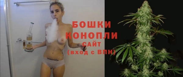 бошки Алексин