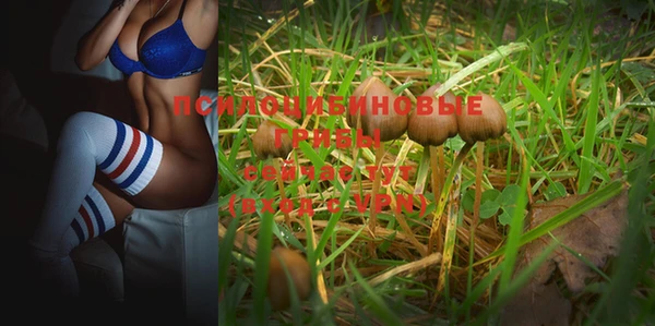 мяу мяу мука Алзамай