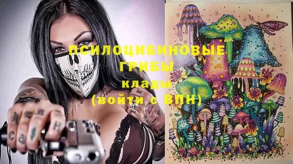 бошки Алексин