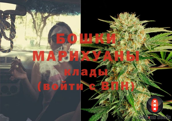 бошки Алексин