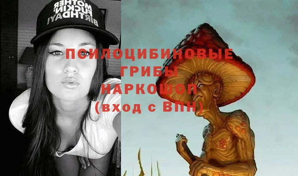 ALPHA-PVP Алексеевка