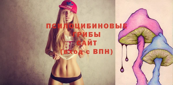 мяу мяу мука Алзамай