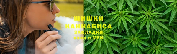 бошки Алексин